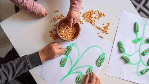 Kinaesthetic Learning with beans