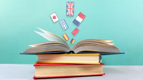 multilingual books